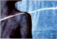 /album/metamorfose/foto-r-jpg/